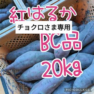 紅はるか　BC20kg(野菜)