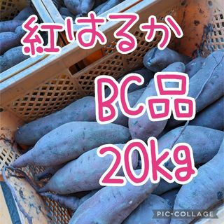 紅はるか　BC20kg(野菜)