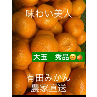 有田みかん農家直送⭐️ブランド味わい美人大玉秀品箱込み5キロ(フルーツ)