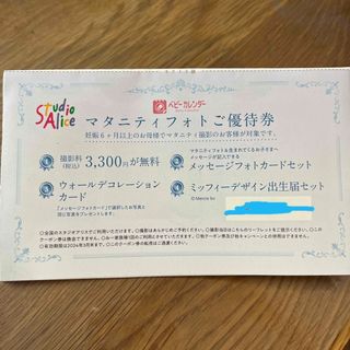 スタジオアリス　マタニティフォト優待券(その他)