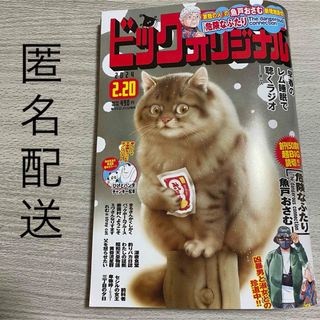 ショウガクカン(小学館)のビッグコミックオリジナル　2024.2.20(漫画雑誌)