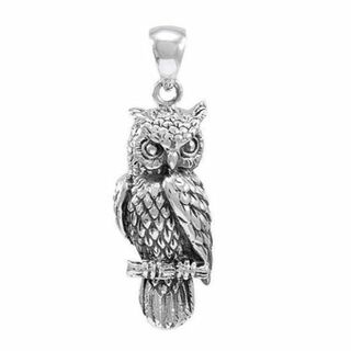 NEBULA: Nature’s wise representation Owl(ネックレス)