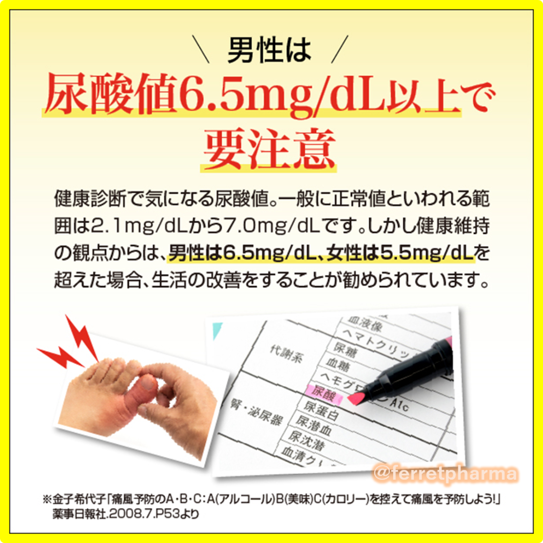 AFC(エーエフシー)の【残りわずか】 機能性表示食品 AFC ルテオリンGOLD 30日分 3袋 エンタメ/ホビーのエンタメ その他(その他)の商品写真