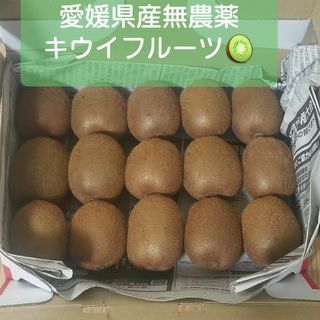 キウイフルーツ 愛媛県産 無農薬 自家製(フルーツ)