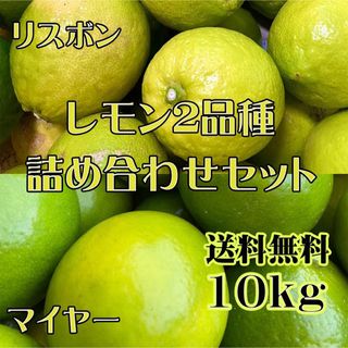 減農薬レモン 2品種詰め合わせセット　マイヤー＆リスボン 10kg 送料無料(フルーツ)