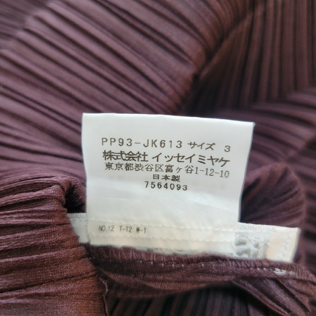 PLEATS PLEASE ISSEY MIYAKE(プリーツプリーズイッセイミヤケ)の【極美品】プリーツプリーズ　変形　フリル　袖　チュニック　ワンピース　サイズ3 レディースのトップス(チュニック)の商品写真