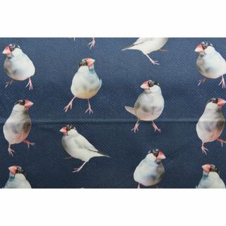 【ゆきちゃん限定】X1467-1　パイド文鳥　デニム　紺　布　1m(生地/糸)