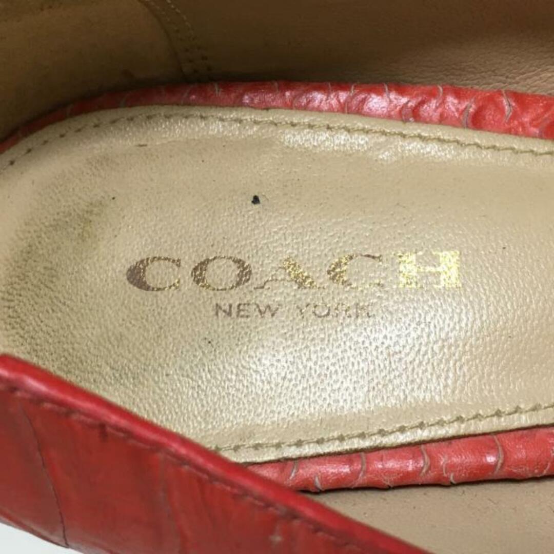 COACH(コーチ)のコーチ パンプス 6B レディース - レッド レディースの靴/シューズ(ハイヒール/パンプス)の商品写真