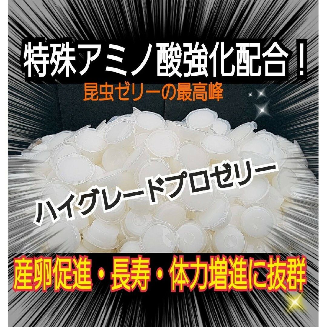 極上ハイグレードプロゼリー【100個】特殊アミノ酸強化！産卵促進・長寿・体力増進 その他のペット用品(虫類)の商品写真