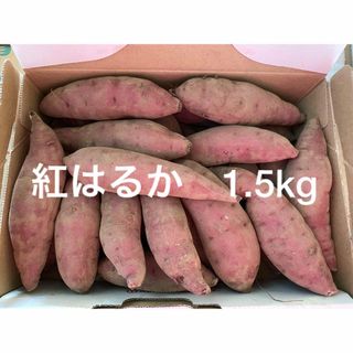 紅はるか　1.5kg さつまいも　小さいサイズ(野菜)