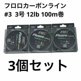 FTK フロロカーボンライン 100m巻 3号 12lb 3個セット(釣り糸/ライン)