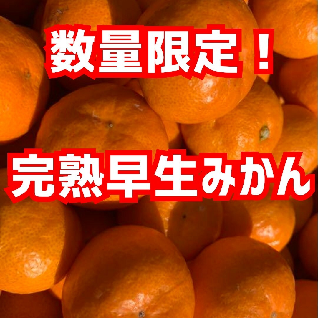 愛媛県産　完熟早生みかん　3㎏　柑橘　ミカン 食品/飲料/酒の食品(フルーツ)の商品写真