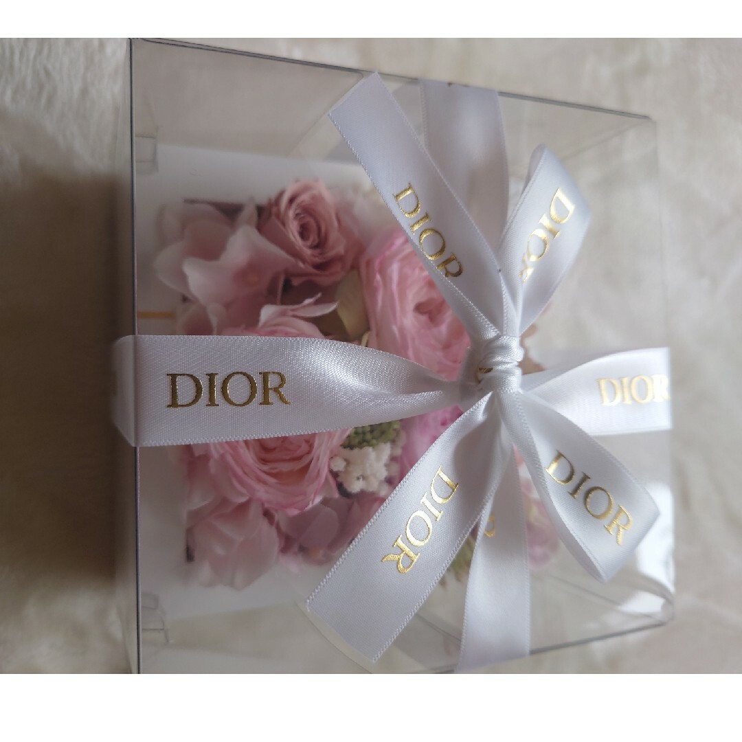 Dior(ディオール)のディオール　ノベルティ エンタメ/ホビーのコレクション(ノベルティグッズ)の商品写真