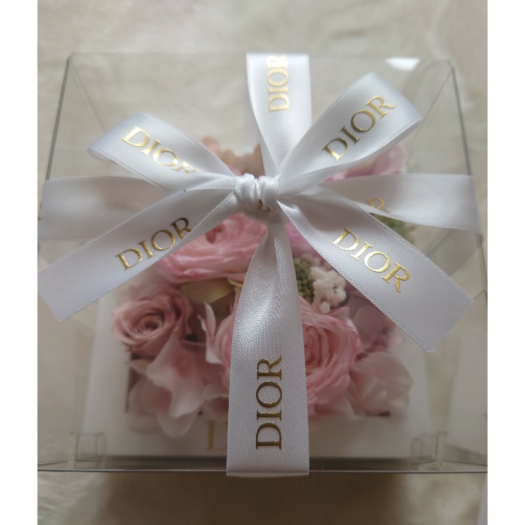 Dior(ディオール)のディオール　ノベルティ エンタメ/ホビーのコレクション(ノベルティグッズ)の商品写真