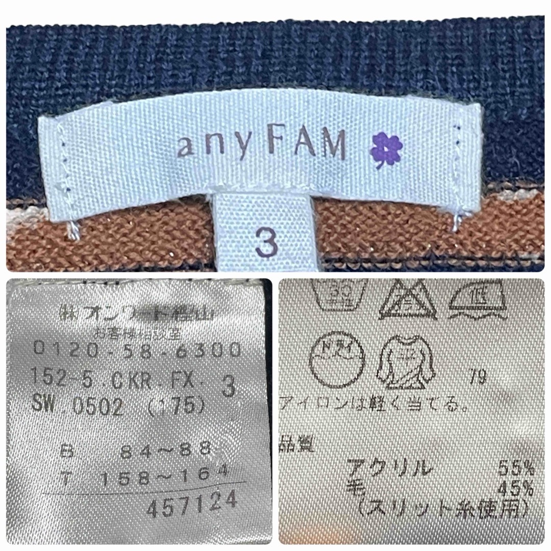 anyFAM(エニィファム)のエニィファム レディース ラメボーダー ニット チュニック丈 3（L) レディースのトップス(チュニック)の商品写真