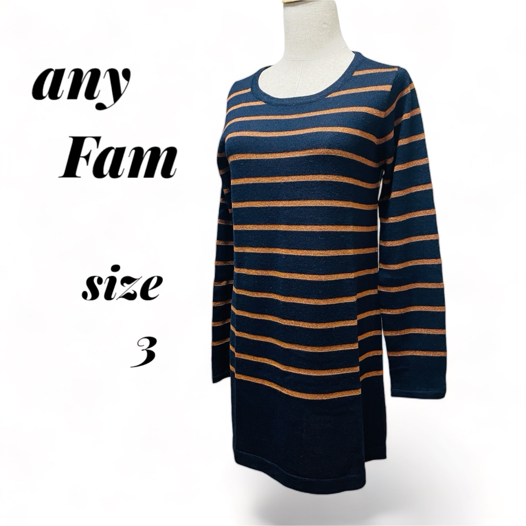 anyFAM(エニィファム)のエニィファム レディース ラメボーダー ニット チュニック丈 3（L) レディースのトップス(チュニック)の商品写真