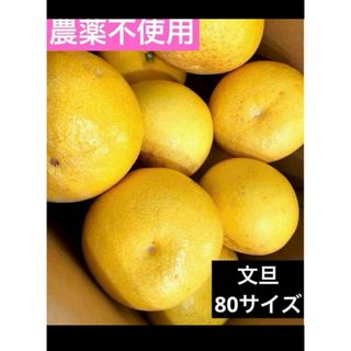 ★農薬不使用★文旦 5kg 無農薬(フルーツ)