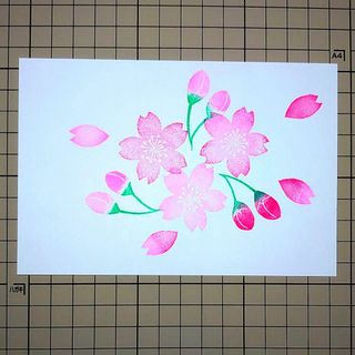 消しゴムはんこ「さくら・桜‣サクラ⑤」3個セット(はんこ)