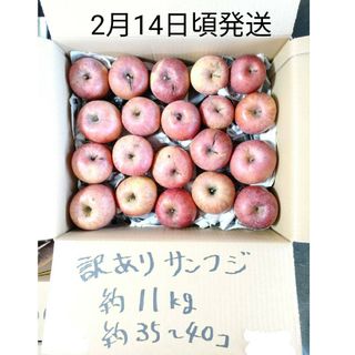 本州、四国宛配送限定　信州産　訳ありサンふじ　約11キロ(フルーツ)