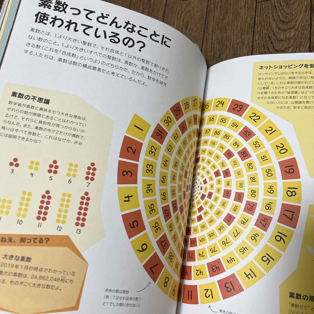 東京書籍(トウキョウショセキ)の算数・数学で何ができるの？ エンタメ/ホビーの本(科学/技術)の商品写真