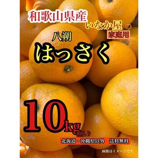 一点限定！早い者勝ち！和歌山県　八朔　はっさく　家庭用　b品　きれいめ(フルーツ)