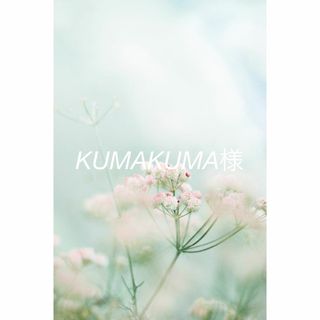 KUMAKUMA様　専用ページ(各種パーツ)