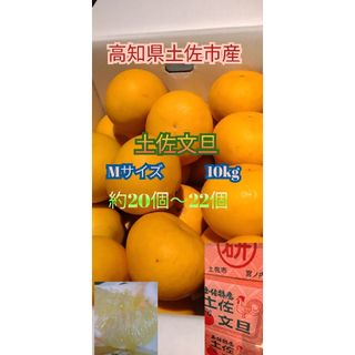 高知県土佐市産　土佐文旦　Mサイズ　送料無料　(^^)10kg(フルーツ)