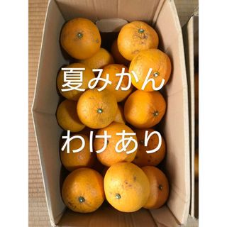 無農薬　訳あり　ワケアリ　夏みかん　夏ミカン　柑橘　柑橘類　果物(フルーツ)