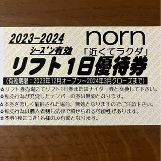 NORN　リフト券　1日券　１枚　ノルンみなかみスキー場　ノルン水上スキー場(ウィンタースポーツ)