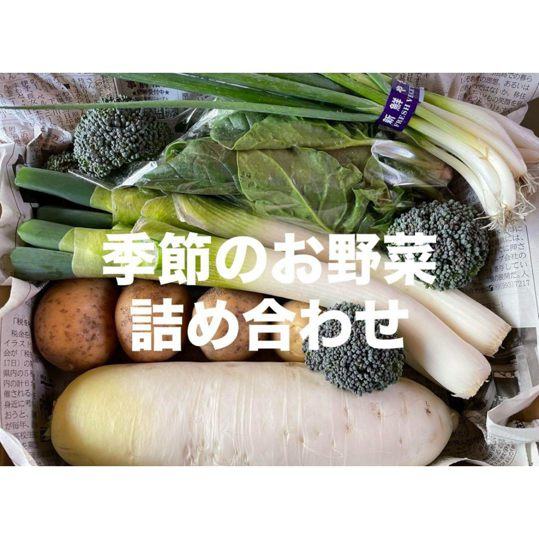 季節のお野菜詰め合わせ コンパクトボックス 愛媛県産 食品/飲料/酒の食品(野菜)の商品写真