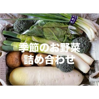 季節のお野菜詰め合わせ コンパクトボックス 愛媛県産(野菜)