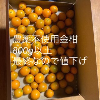 農薬不使用金柑、香川県産800g(フルーツ)