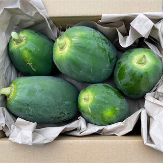 新鮮青パパイヤ60サイズにいっぱい約2kg♪(野菜)