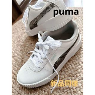 プーマ(PUMA)のPUMA（キャリーナLスネークFS） レディース　幅広　24.5(スニーカー)