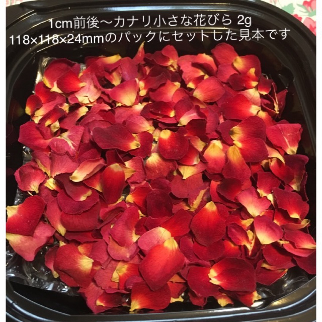 ミニ薔薇　花びらの花びら（小さめ）2gセット★花弁　ドライフラワー★レジン花材に エンタメ/ホビーのアート用品(その他)の商品写真