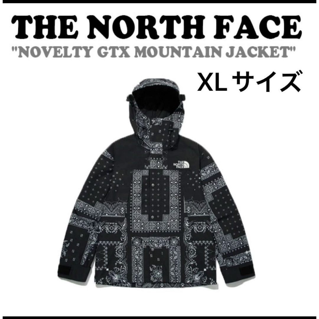 THE NORTH FACE(ザノースフェイス)の新品THE NORTH FACE NOVELTY GTX MOUNTAIN XL メンズのジャケット/アウター(マウンテンパーカー)の商品写真