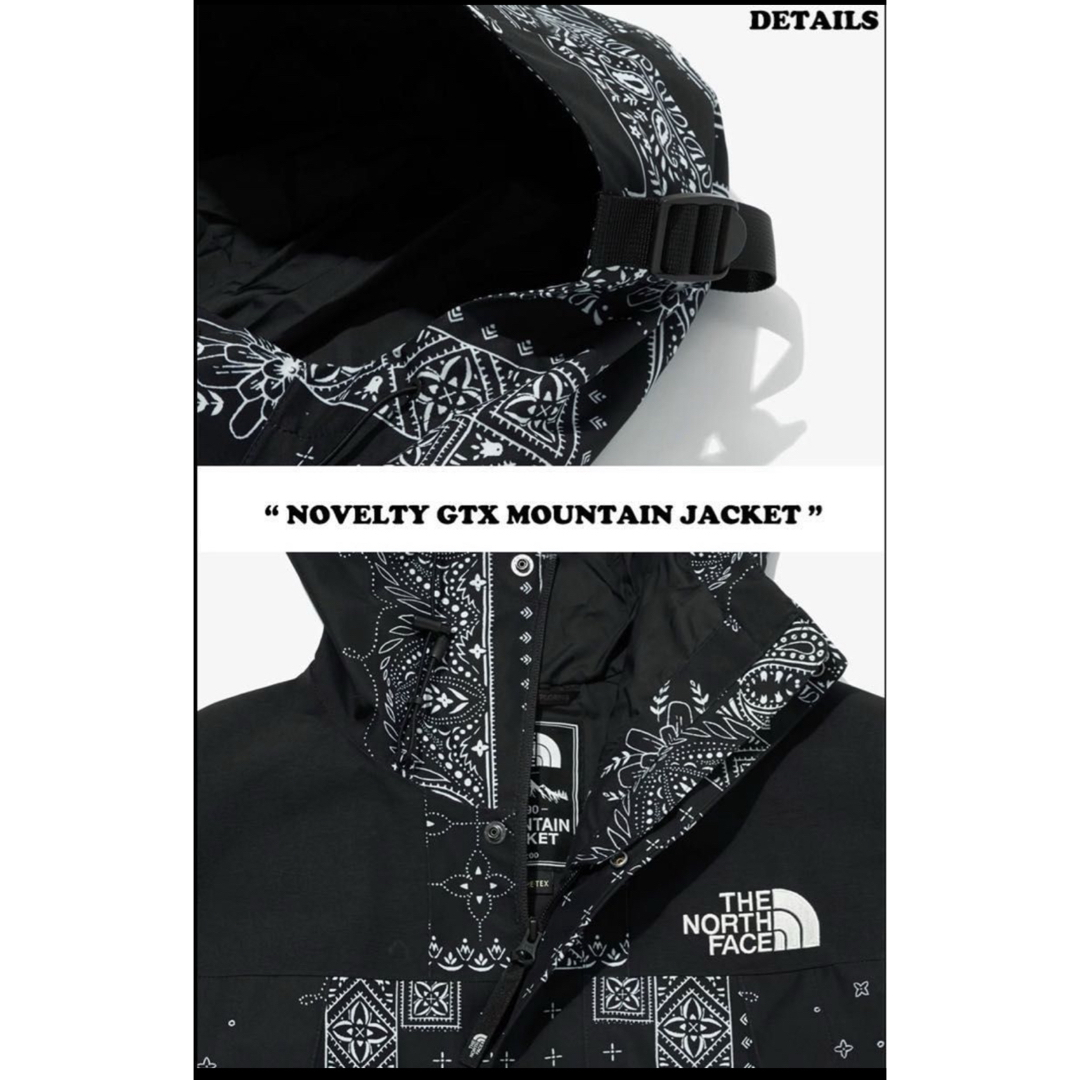 THE NORTH FACE(ザノースフェイス)の新品THE NORTH FACE NOVELTY GTX MOUNTAIN XL メンズのジャケット/アウター(マウンテンパーカー)の商品写真