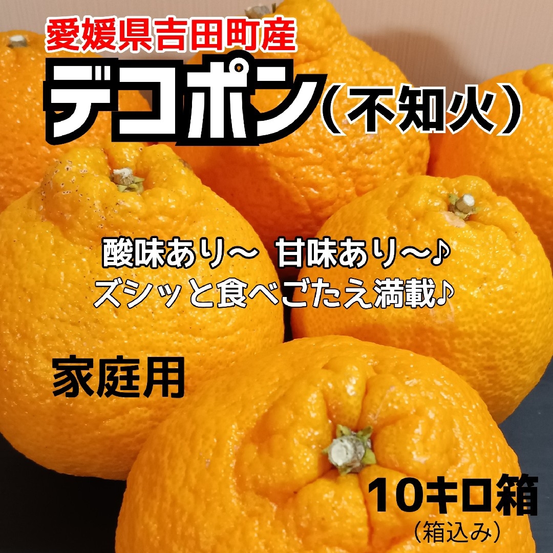 愛媛県産★農家直送★不知火(デコポン) 10キロ箱 食品/飲料/酒の食品(フルーツ)の商品写真