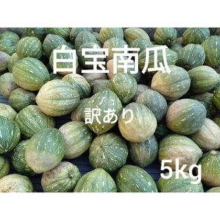 白宝かぼちゃ　訳あり　５kg　４玉　1(野菜)