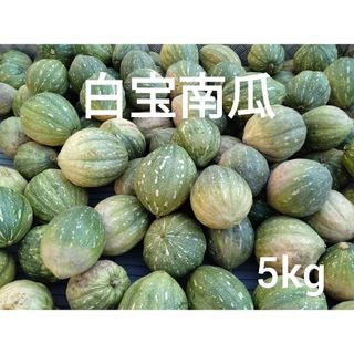 白宝かぼちゃ　５kg　４玉　1(野菜)