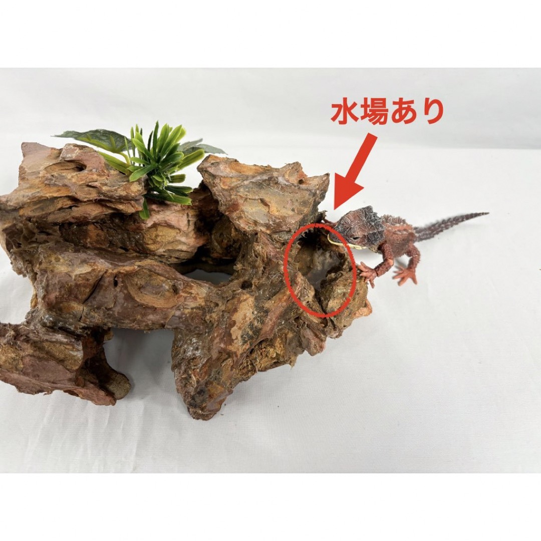 爬虫類用　本格派ミニロックシェルター(レオパ　ニシアフ) その他のペット用品(爬虫類/両生類用品)の商品写真