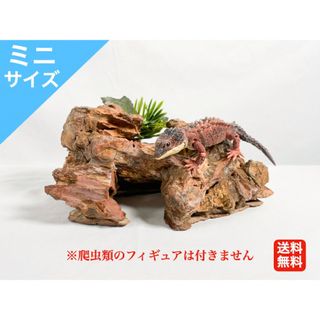 爬虫類用　本格派ミニロックシェルター(レオパ　ニシアフ)(爬虫類/両生類用品)