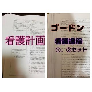 看護計画　ゴードン　看護過程(健康/医学)