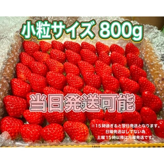 小粒サイズ 箱満タン 約800g 紅ほっぺ 🍓いちご 苺(フルーツ)