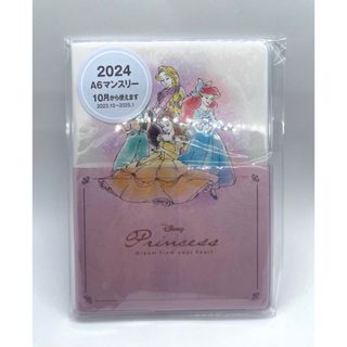 ディズニー(Disney)の新品　値下　ディズニー　プリンセス　スケジュール帳　手帳　ダイアリー　2024年(カレンダー/スケジュール)