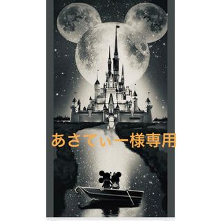 ディズニー(Disney)のあさてぃー様専用オーダーページ(外出用品)