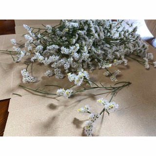 花材　ハイブリッドスターチス 約10センチ　白黄混　約70本　ドライフラワー(ドライフラワー)