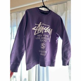 ステューシー(STUSSY)のstussy Sサイズ パーカー　ステューシー(パーカー)