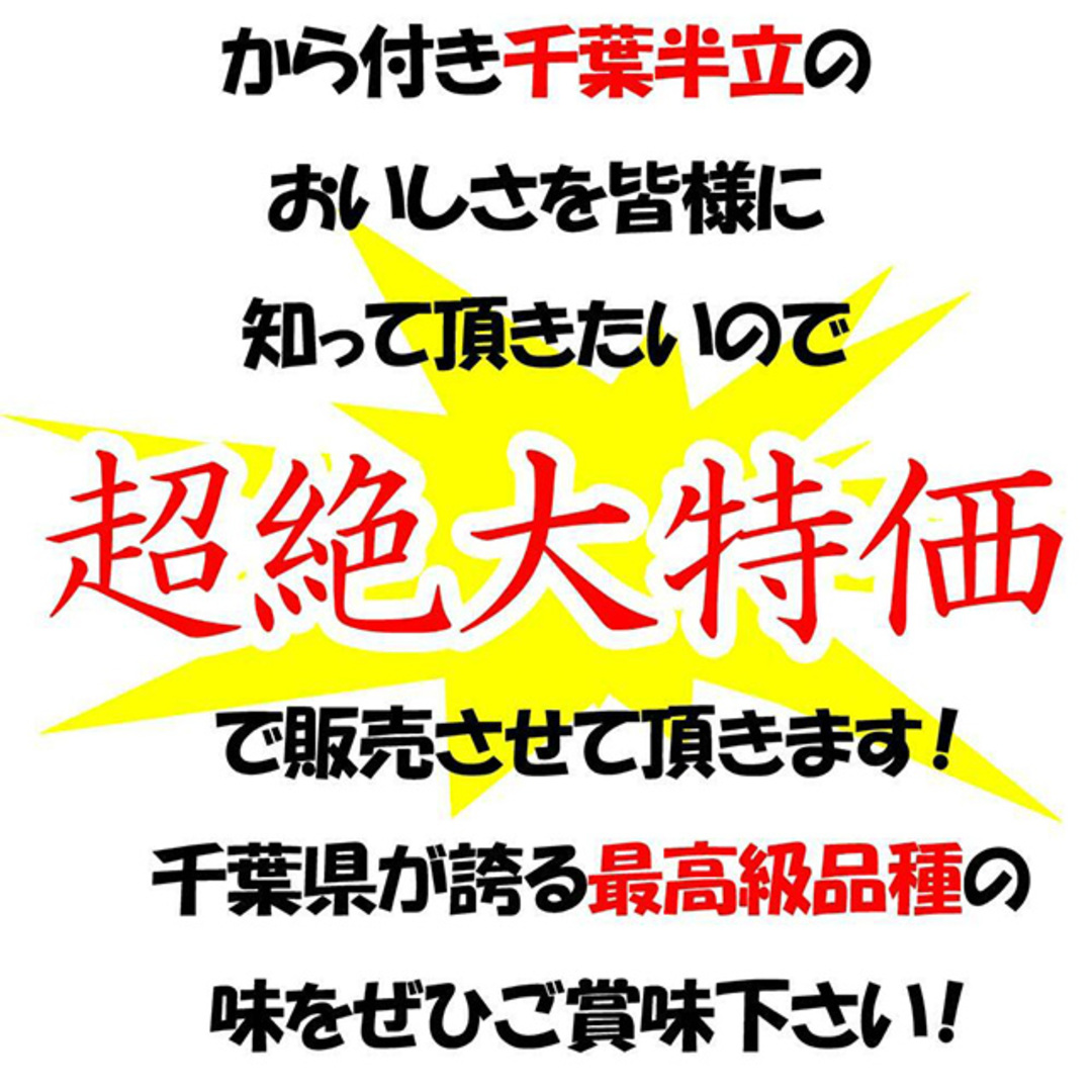 【大特価】お試し 千葉県産千葉半立 さや煎り落花生200g(100g×2袋)　国産 おつまみ グルメ　おやつ　無添加 食品/飲料/酒の加工食品(その他)の商品写真