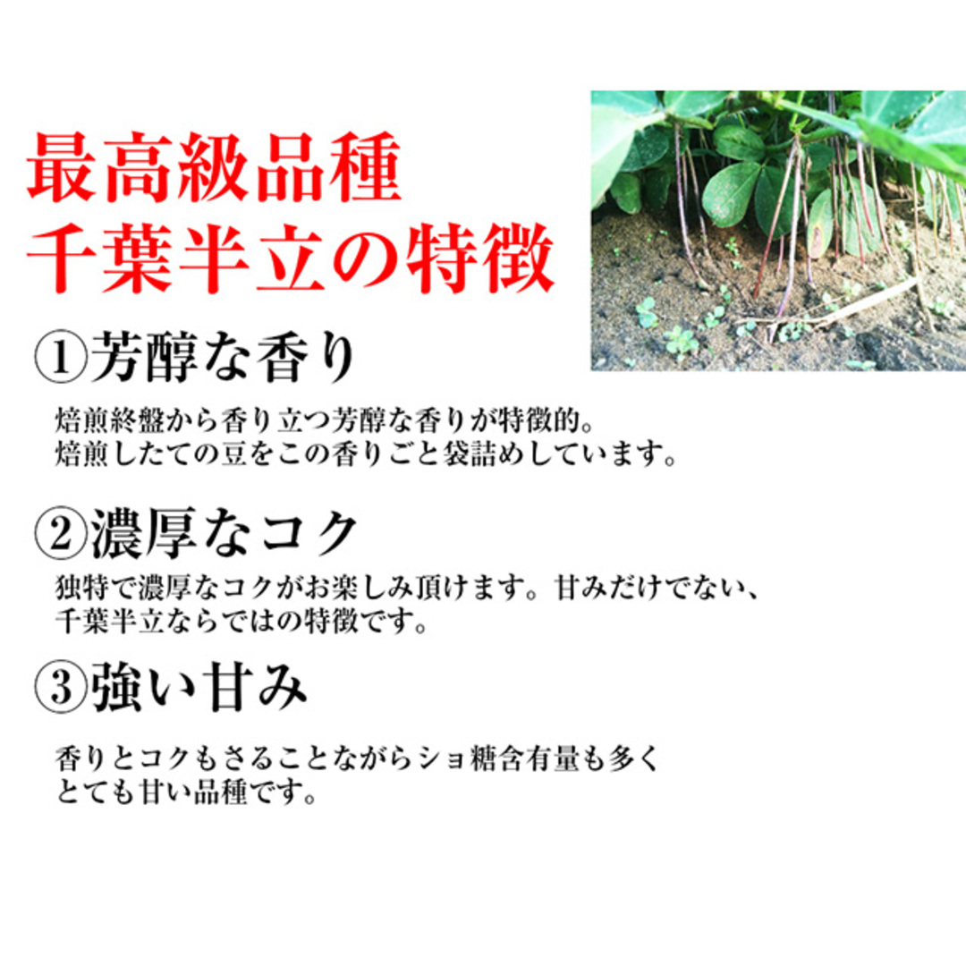 【大特価】お試し 千葉県産千葉半立 さや煎り落花生200g(100g×2袋)　国産 おつまみ グルメ　おやつ　無添加 食品/飲料/酒の加工食品(その他)の商品写真